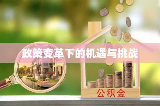 九龙政策变革下的机遇与挑战
