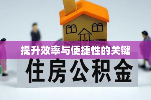 九龙提升效率与便捷性的关键