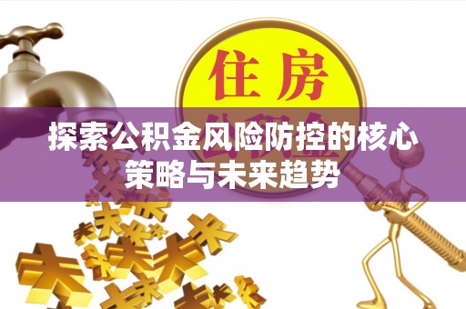 九龙探索公积金风险防控的核心策略与未来趋势