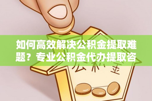九龙如何高效解决公积金提取难题？专业公积金代办提取咨询服务来助力