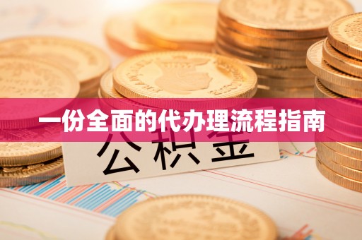 九龙一份全面的代办理流程指南
