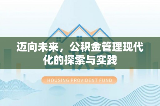九龙迈向未来，公积金管理现代化的探索与实践