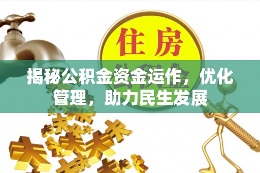 九龙揭秘公积金资金运作，优化管理，助力民生发展