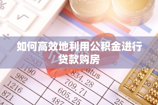 九龙如何高效地利用公积金进行贷款购房