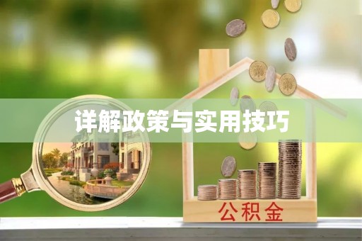 九龙详解政策与实用技巧