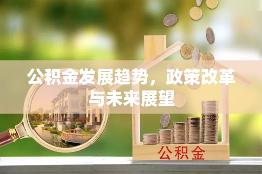 九龙公积金发展趋势，政策改革与未来展望