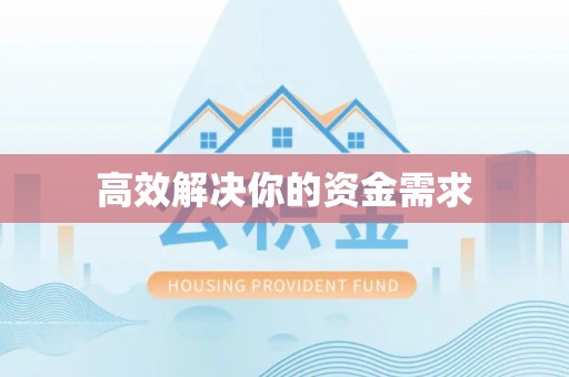 九龙高效解决你的资金需求