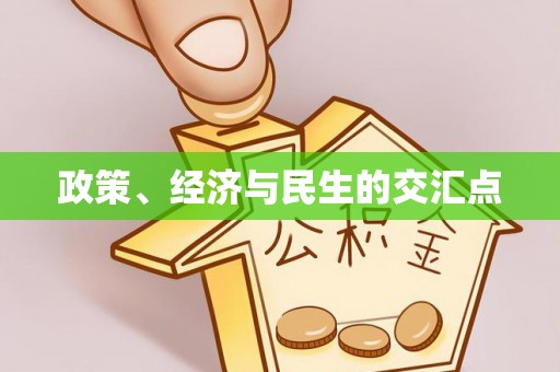 九龙政策、经济与民生的交汇点
