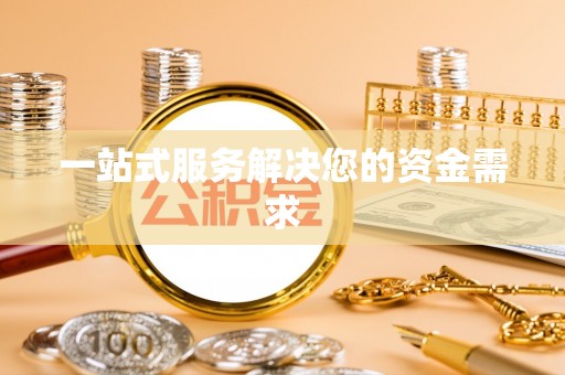 九龙一站式服务解决您的资金需求