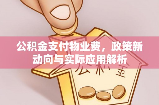 九龙公积金支付物业费，政策新动向与实际应用解析
