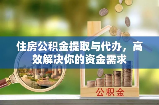 九龙住房公积金提取与代办，高效解决你的资金需求