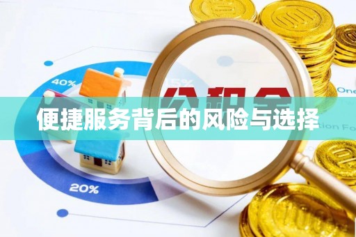 九龙便捷服务背后的风险与选择