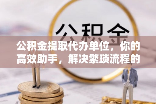 九龙公积金提取代办单位，你的高效助手，解决繁琐流程的不二之选
