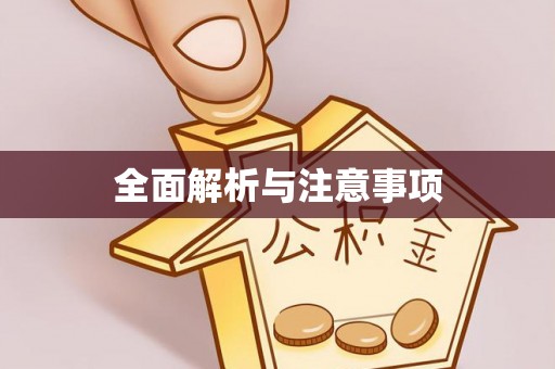 九龙全面解析与注意事项