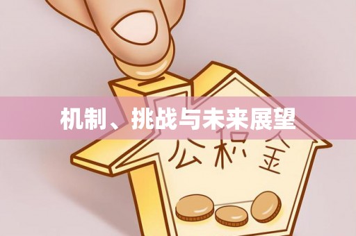九龙机制、挑战与未来展望