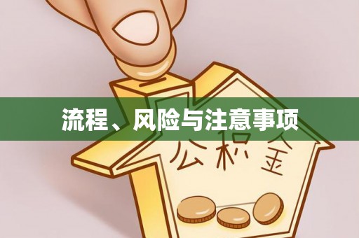 九龙流程、风险与注意事项